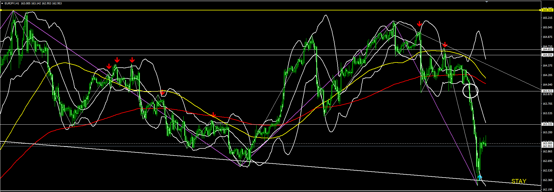 ユロエンチャート画像20240412